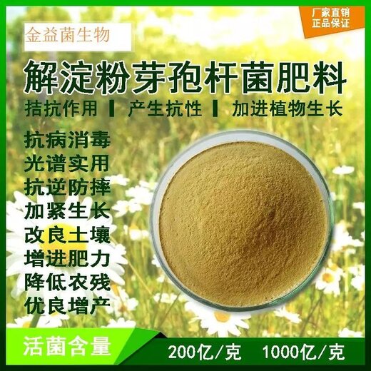 解澱粉芽孢桿菌在農業種植上的應用廠家直供